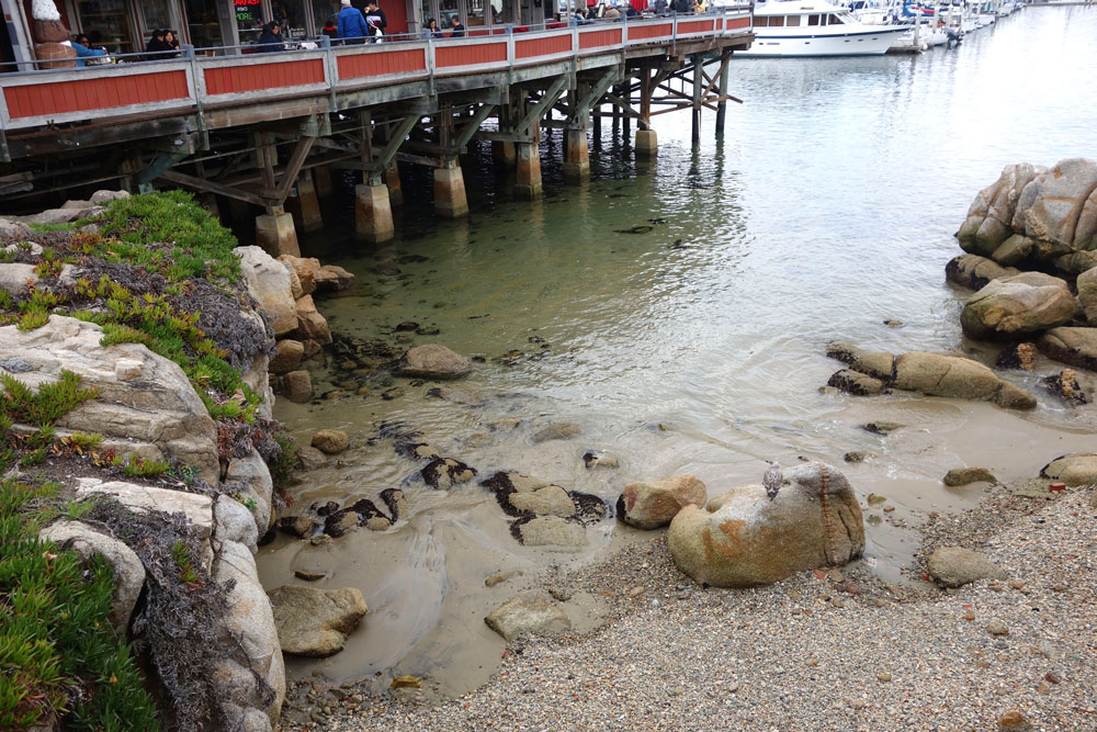 The Monterey Bay Aquarium and Carmel, California