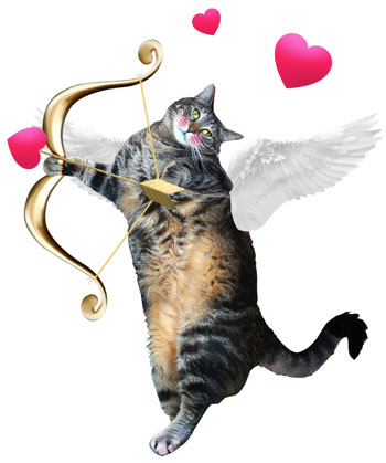 tabs-angel-valentine-cupid