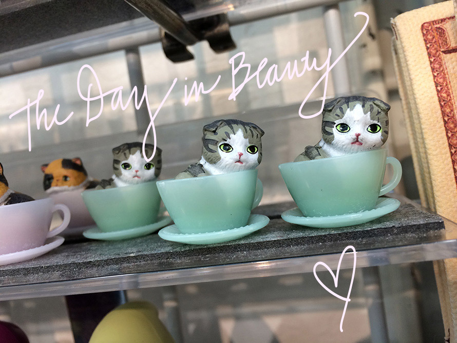 teacup-kitties-day-in-beauty