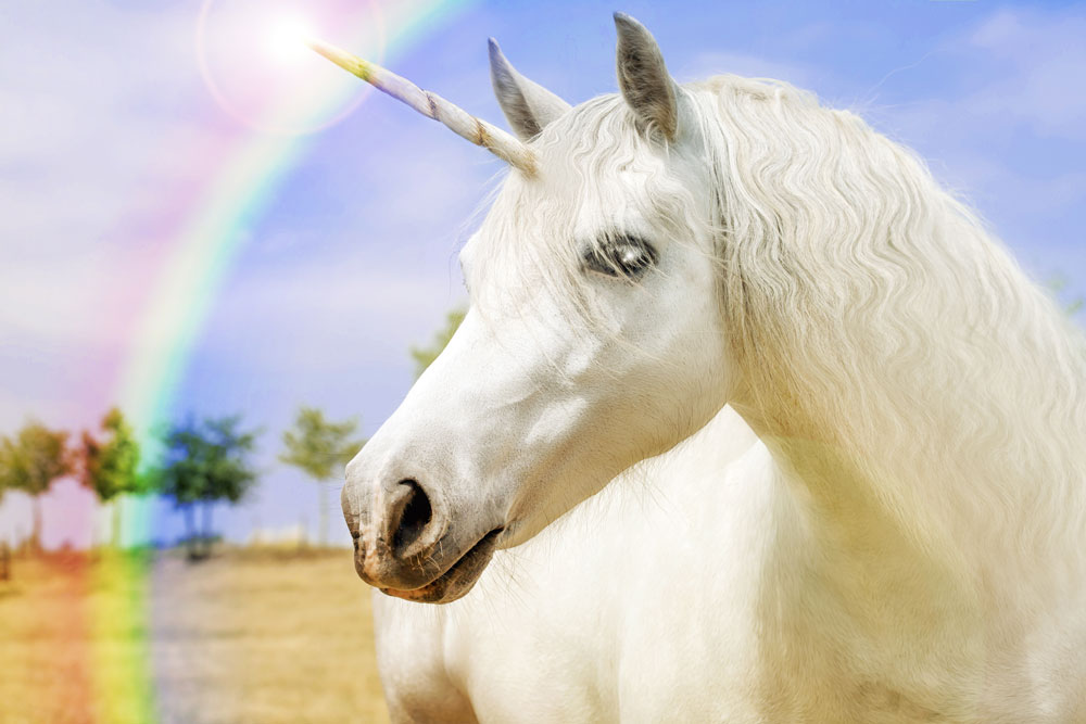 rare-unicorn