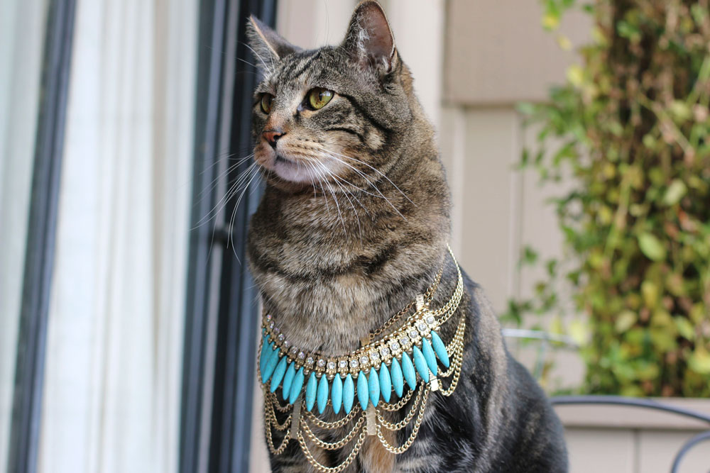 tabs-egyptian-mau-necklace