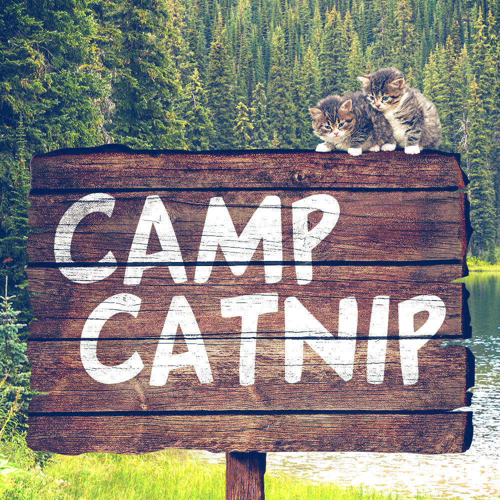 tabs-cat-camp-catnip-sign