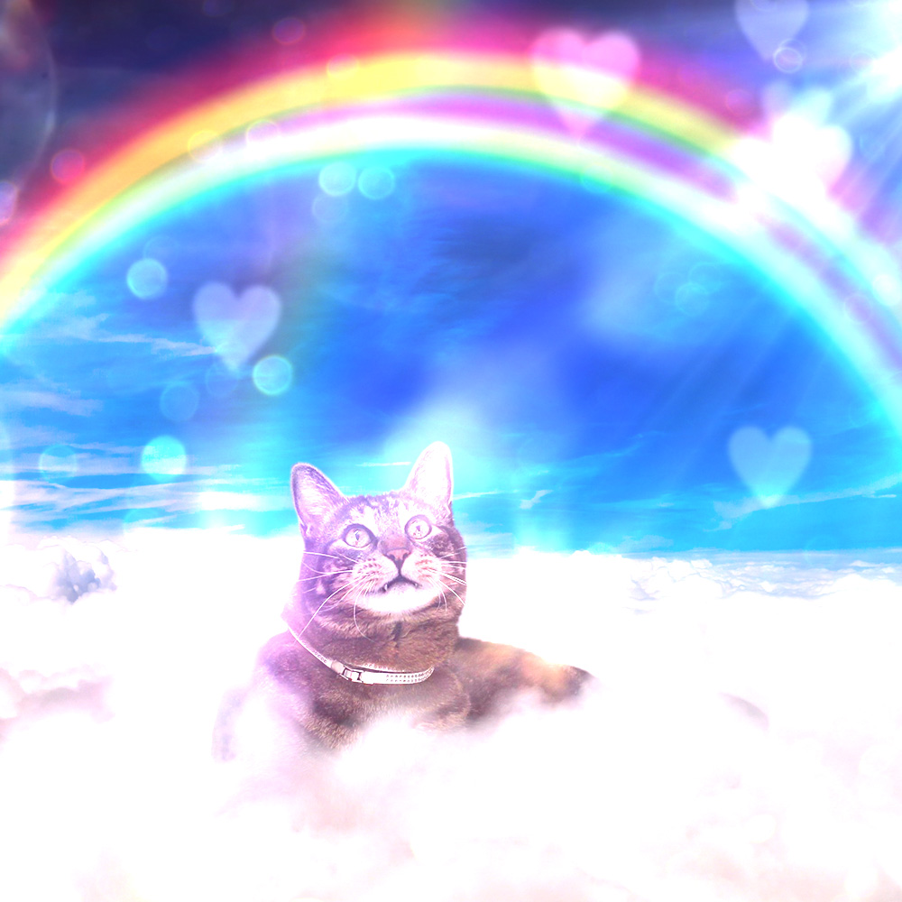 tabs-cat-clouds-double-rainbow
