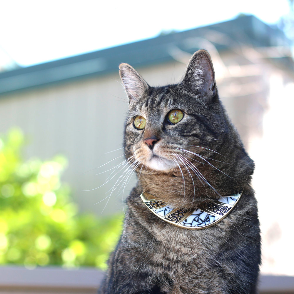 tabs-cat-jewelry-summer-2016-2