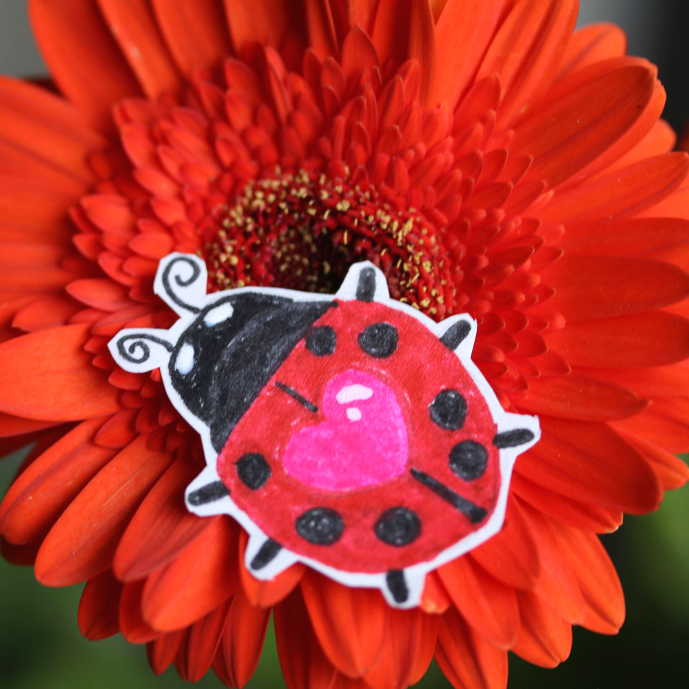 tabs-cat-ladybug-2