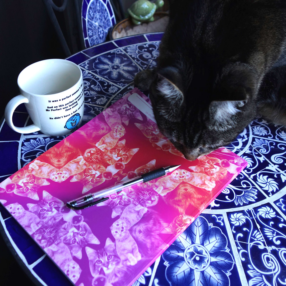 tabs-cat-journaling-writer-11