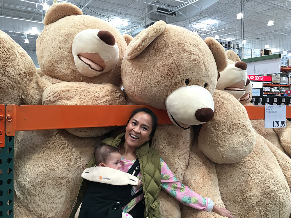 giant bear from costco