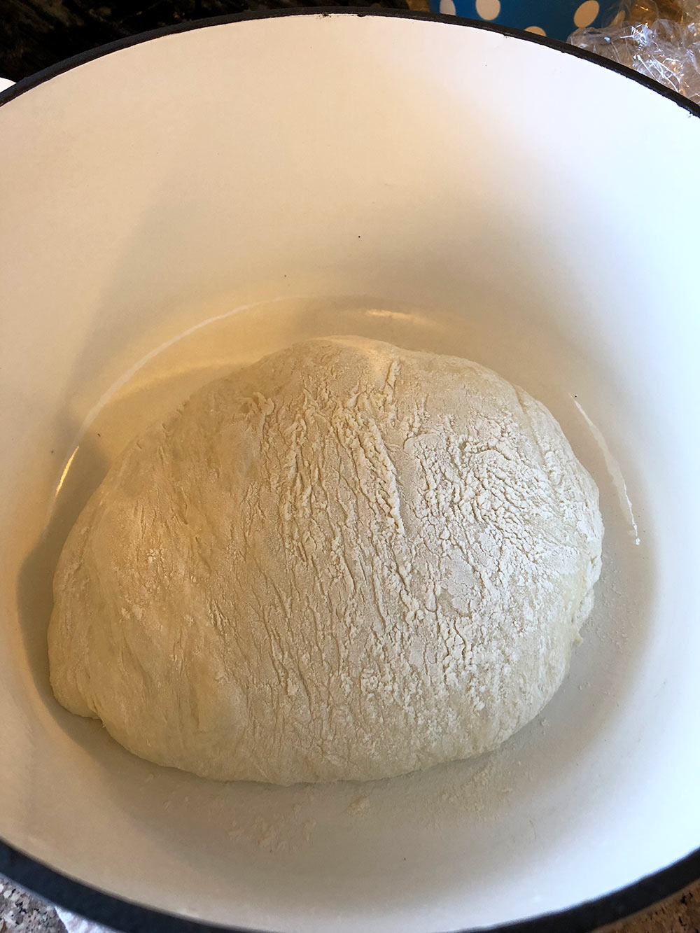rustic loaf dough