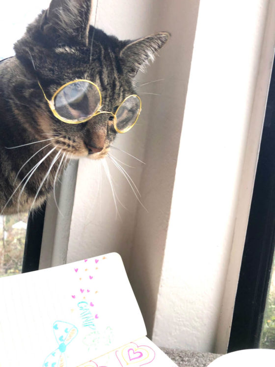 Sundays With Tabs the Cat, Makeup and Beauty Blog Mascot, Vol. 535
