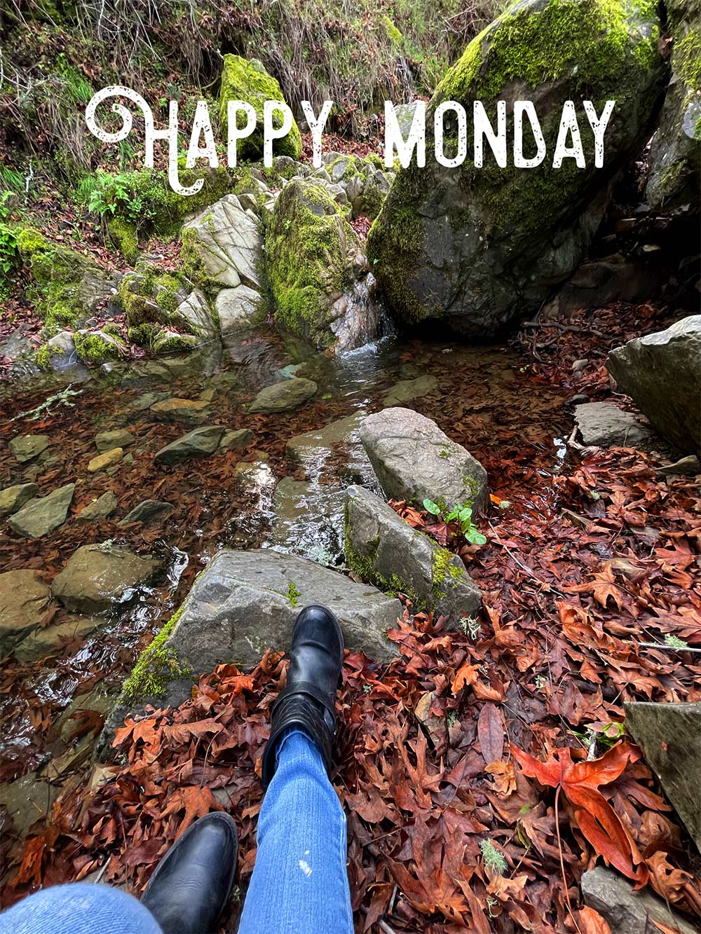 счастливый понедельник водопад пруд
