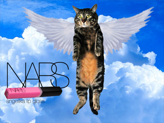 Sundays With Tabs the Cat, Makeup and Beauty Blog Mascot, Vol. 657
